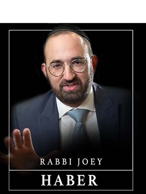 Rabi Joey Haber