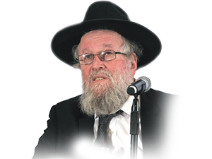 Rabbi Elya Brudny